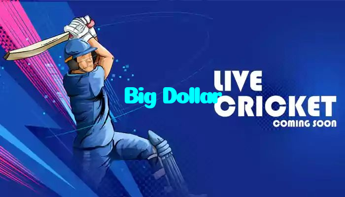 Big Dollar casino presented on mobile device in Pakistan with slots and live games